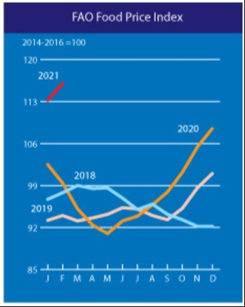 Índices de preços de alimentos da FAO - Março/21