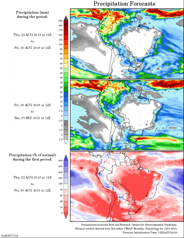 Mapa com a tendência de precipitação acumulada para o período de 22 de agosto até 07 de setembro - Fonte: National Centers for Environmental Prediction/NOAA